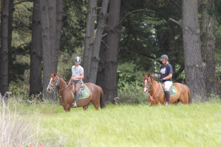 Residential Horse Club Costa Brava Hostel Santa Cristina d'Aro Exterior photo
