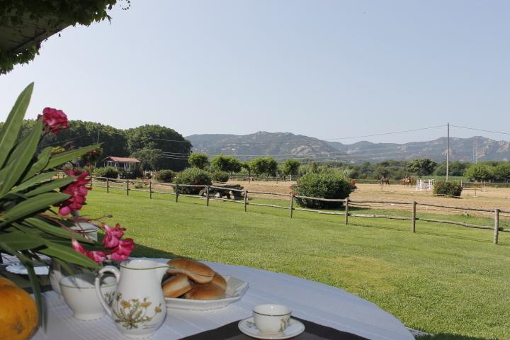 Residential Horse Club Costa Brava Hostel Santa Cristina d'Aro Room photo